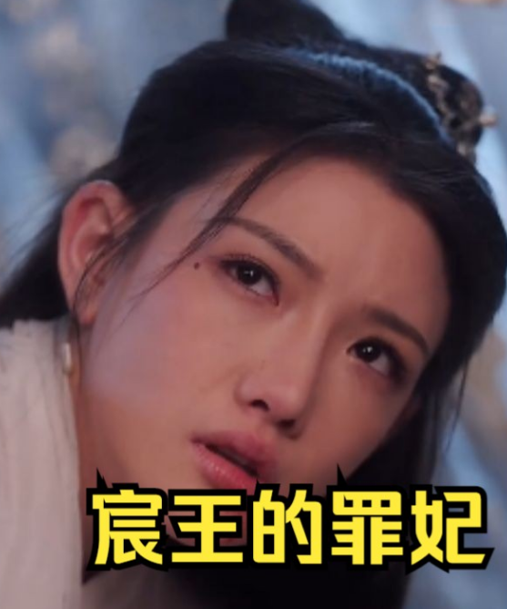 宸王的罪妃 第82集