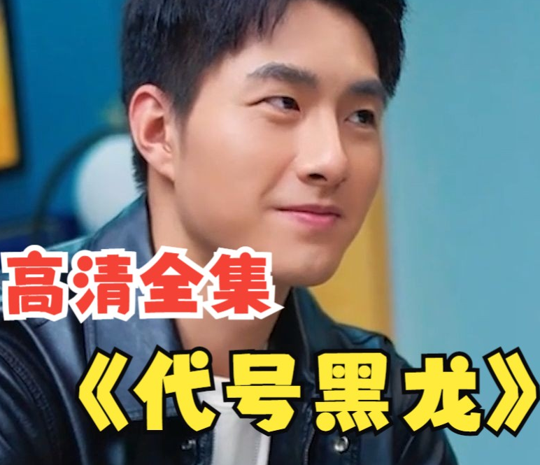 代号黑龙 第103集(大结局)