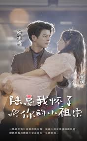 陆总，我怀了你的小祖宗 第90集