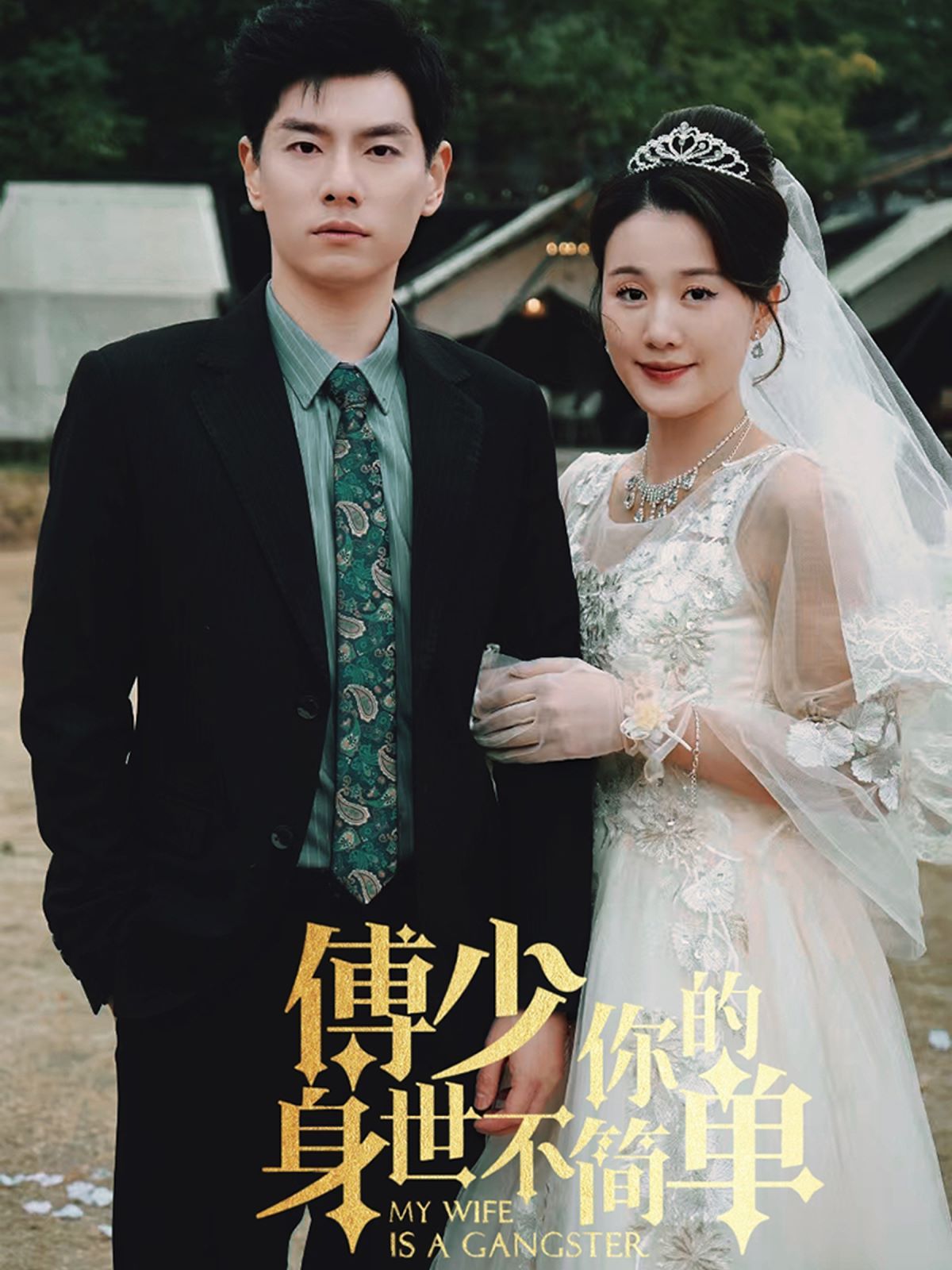 傅少你的身世不简单 第61-89集完结(大结局)