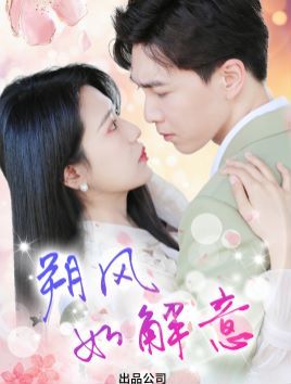 朔风有解意 第41集