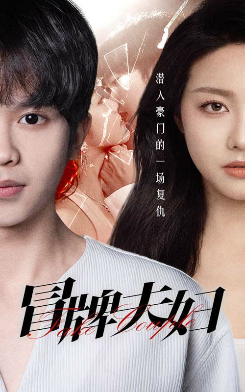 冒牌夫妇 第53集