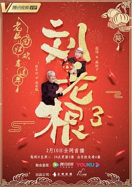 刘老根第三季 第41集