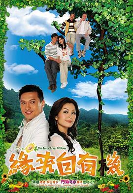 缘来自有机国语 第11集
