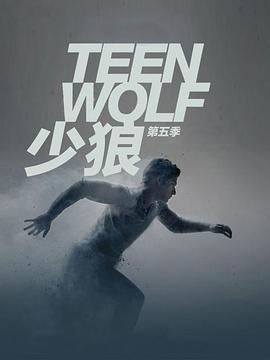少狼第五季 第19集