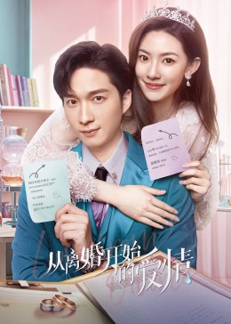 从离婚开始的爱情 第19集