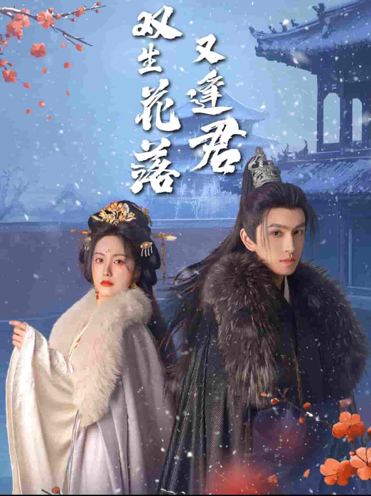双生花落又逢君 第14集